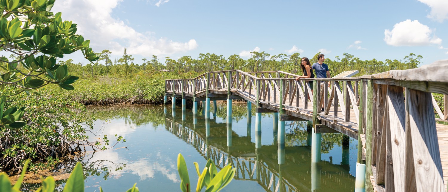 Guided Nature Walk