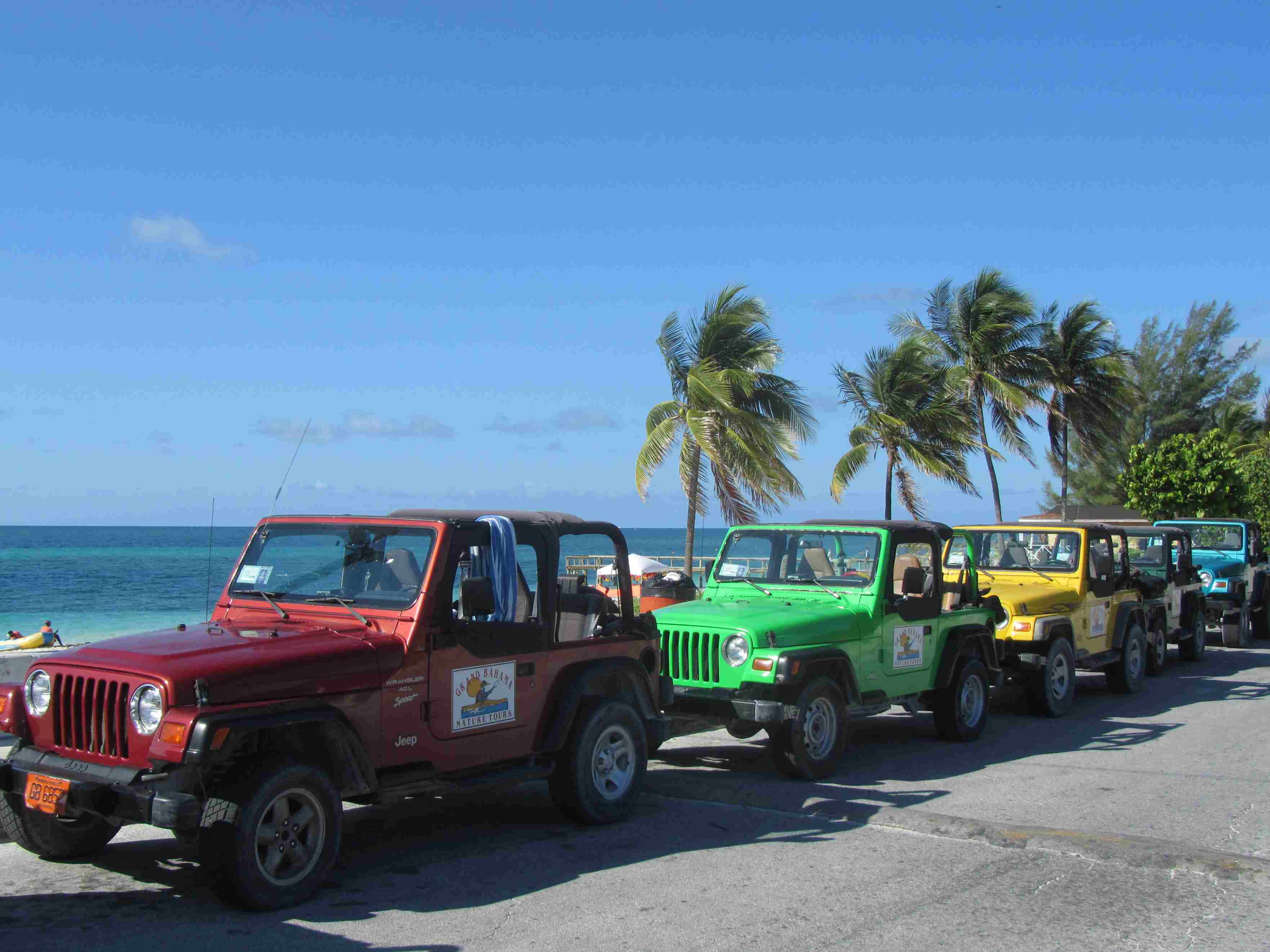 Bahamas Jeep Safari