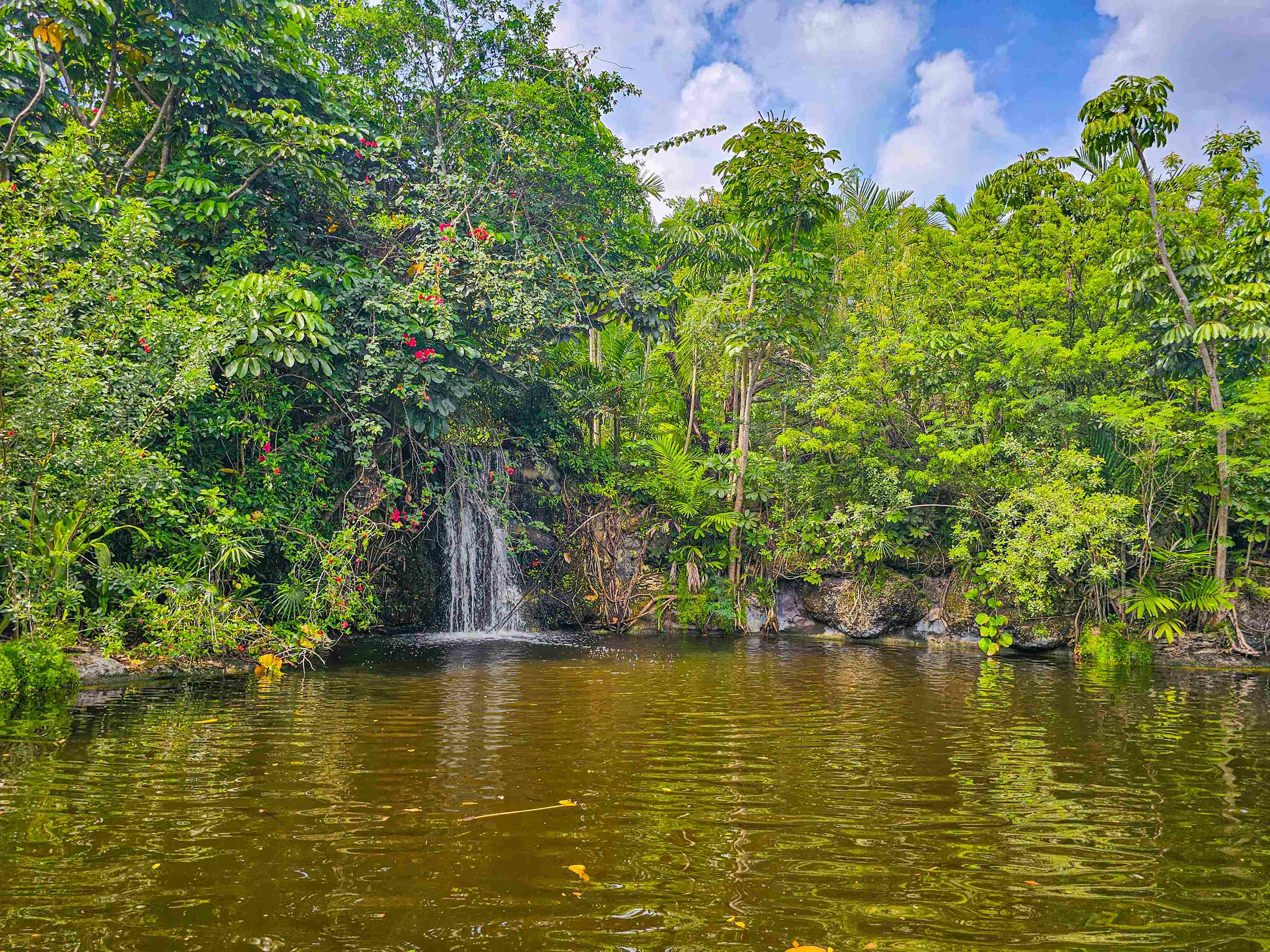 Explore Grand Bahama’s Waterways