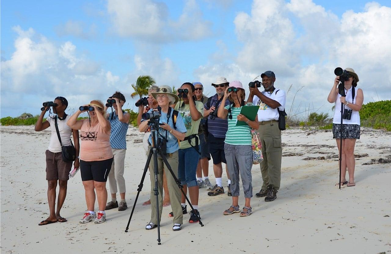 Search for Migratory Birds