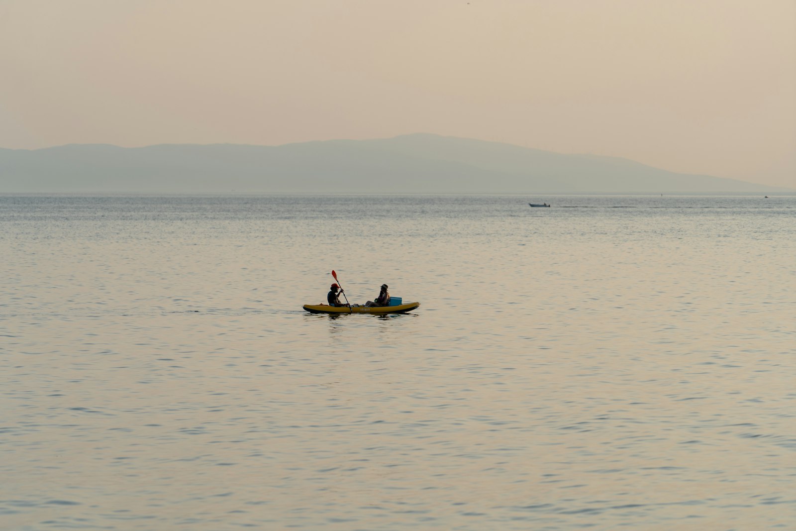 Kayakers in mangrove waterway